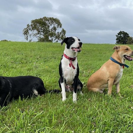 Narrow Neck Creek Farmstay And B&B Upper Hutt Exterior foto