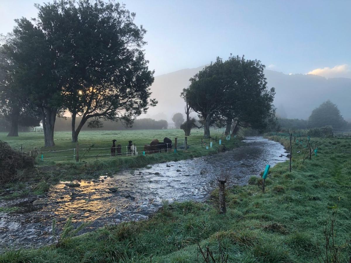 Narrow Neck Creek Farmstay And B&B Upper Hutt Exterior foto