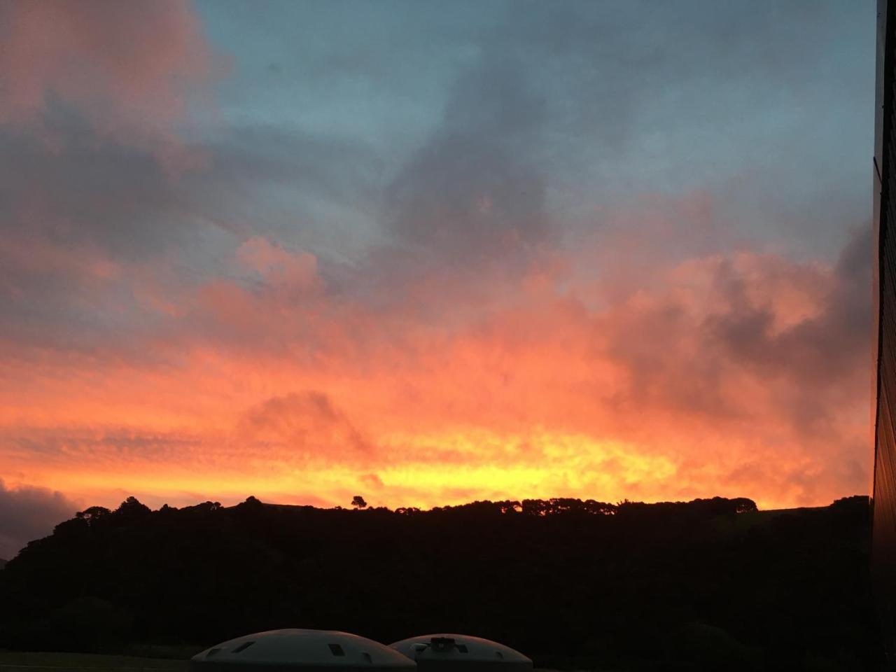 Narrow Neck Creek Farmstay And B&B Upper Hutt Exterior foto